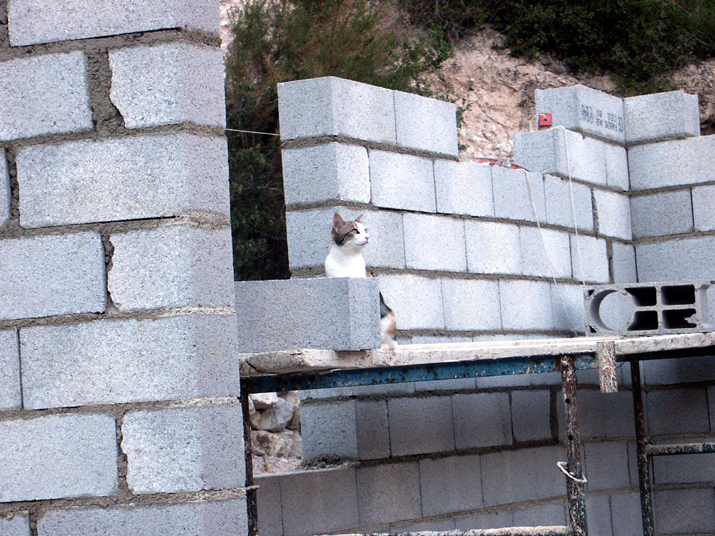 2005-06 001.jpg - DCF 1.0